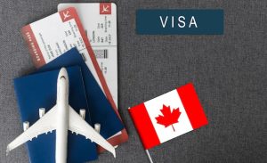 Canada’s 2025 Skilled Migration Surge: What Applicants Need to Know 3 What Are the Canada Work Visa Requirements?