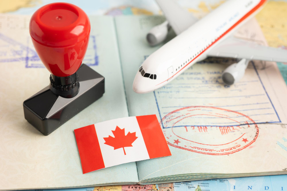 Visitor Visa Refusal